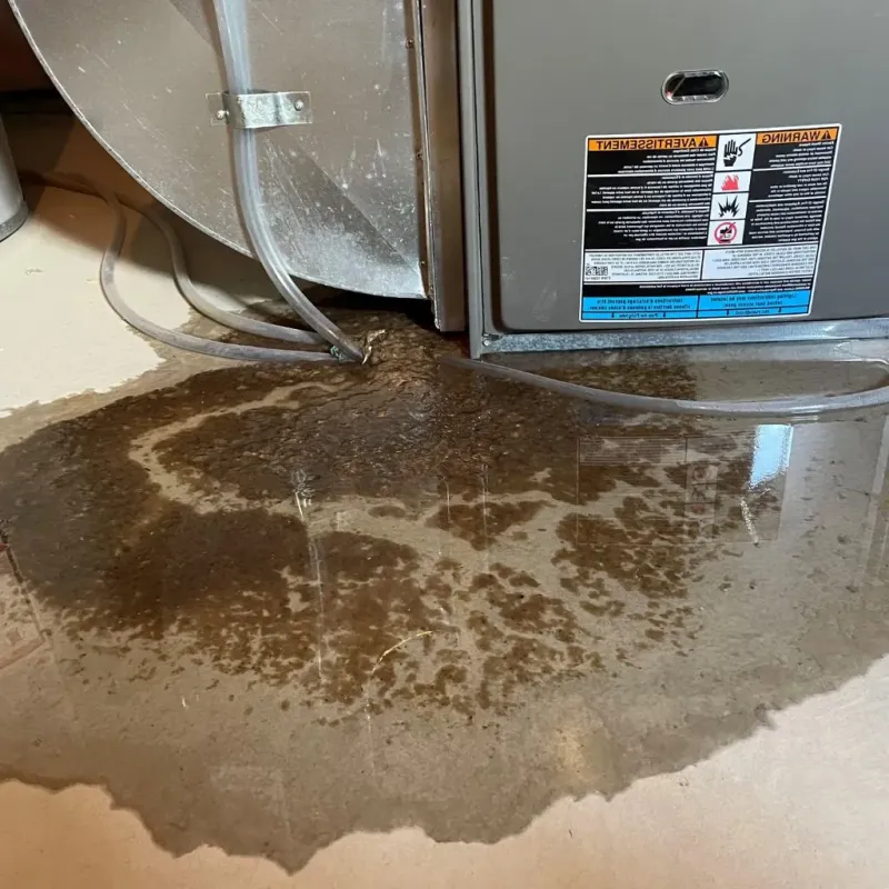 Pipe Burst and Leak Restoration in Country Club Hills, MO