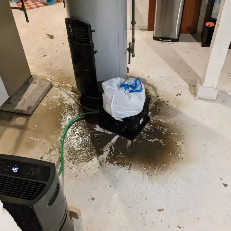 Sewage Backup Cleanup Service in Country Club Hills, MO